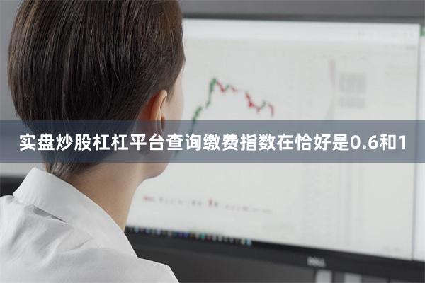 实盘炒股杠杠平台查询缴费指数在恰好是0.6和1